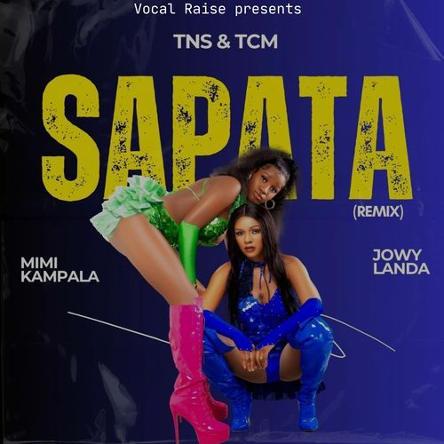 Sapata (Remix) cover art