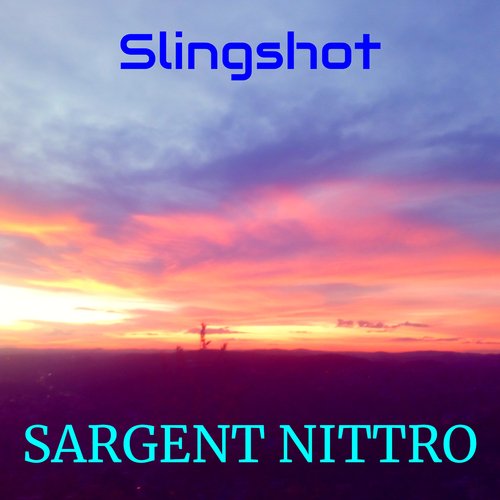 Slingshot cover art