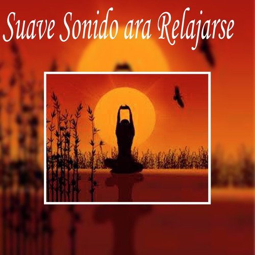 Relajación Para Embarazadas cover art