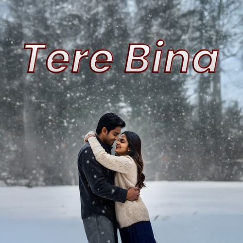 Tere Bina