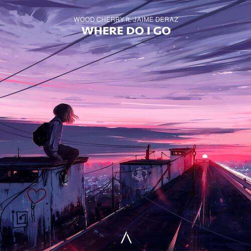 Where Do I Go (feat. Jaime Deraz)_poster_image