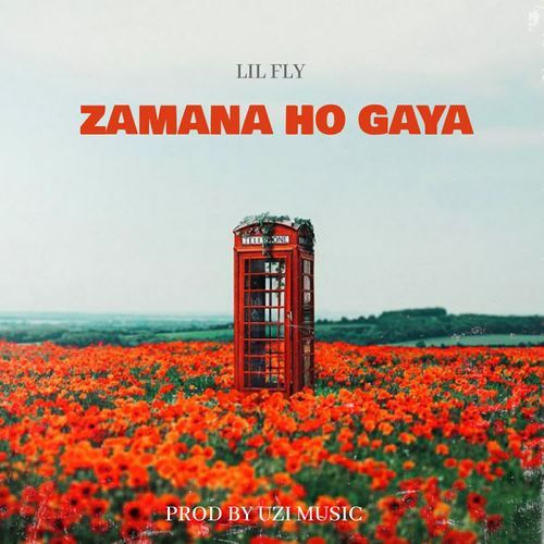 Zamana Ho Gaya