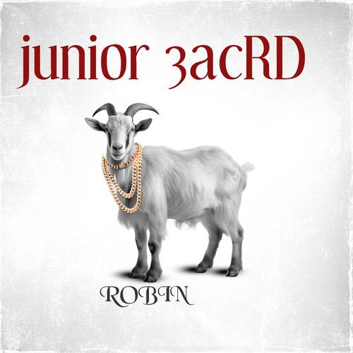 robin cover art