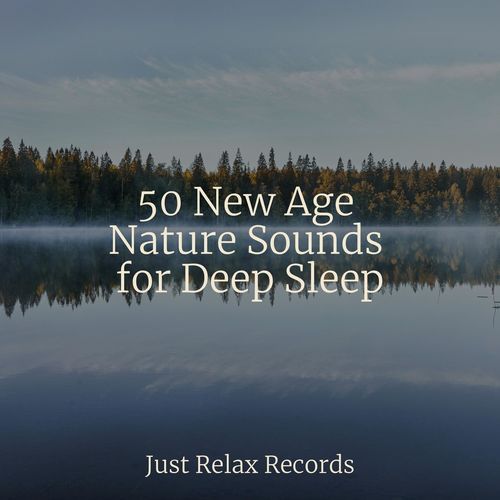 50 New Age Nature Sounds for Deep Sleep