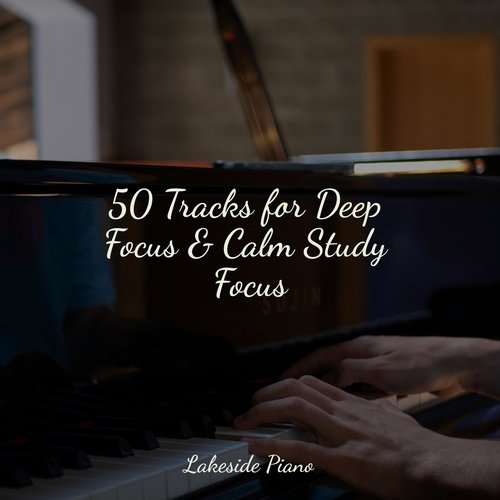 50 Tracks for Deep Focus &amp; Calm Study Focus_poster_image