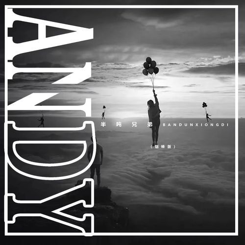 Andy (烟嗓版 伴奏) cover art