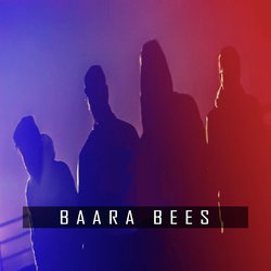 Baara Bees