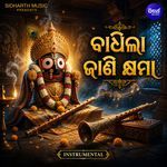 Badhila Jani Khyama Instrumental