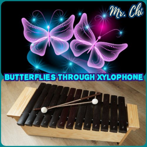 Butterflies Through Xylophone_poster_image