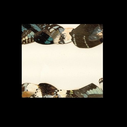 Butterfly Girl Versions