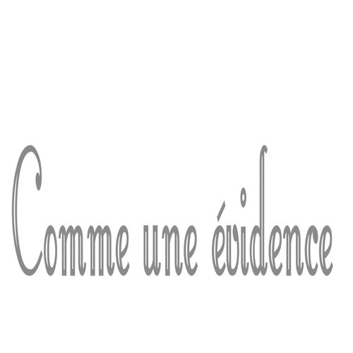 Comme une évidence_poster_image