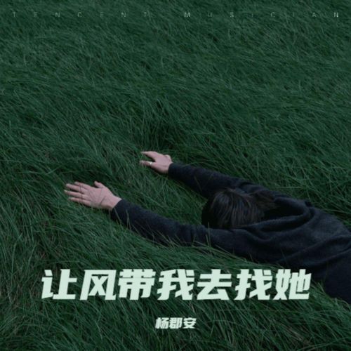 让风带我去找她 (DJ阿卓版) cover art