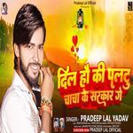 Dil Hau Ki Paltu Chacha Ke Sarkar Ge