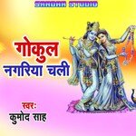 Gokul Nagariya Chali