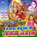 Hamra Babuaa Ke Lagena Najrwa