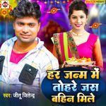 Har Janm Me Tohare Jas Bahin Mile