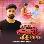 Hau Tu Ta Pyari Bahiniya Nu Ho