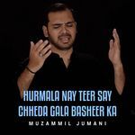 Hurmala Nay Teer Say Chheda Gala Basheer Ka