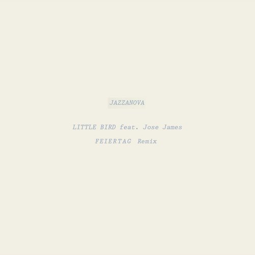 Little Bird (Feiertag Remix)_poster_image