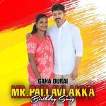 MR.PALLAVI AKKA Birthday Song