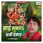 Maiya Ji Beda Par Kareli