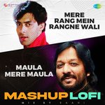 Mere Rang Mein Rangne Wali X Maula Mere Maula LoFi Mashup