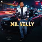 Mr Velly