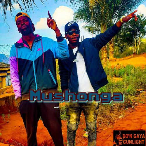 Mushonga cover art