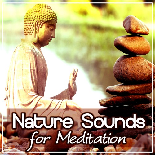 Lotus Flower cover art