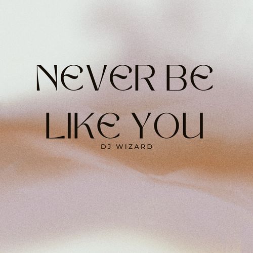 Never Be Like You (Radio Edit)_poster_image