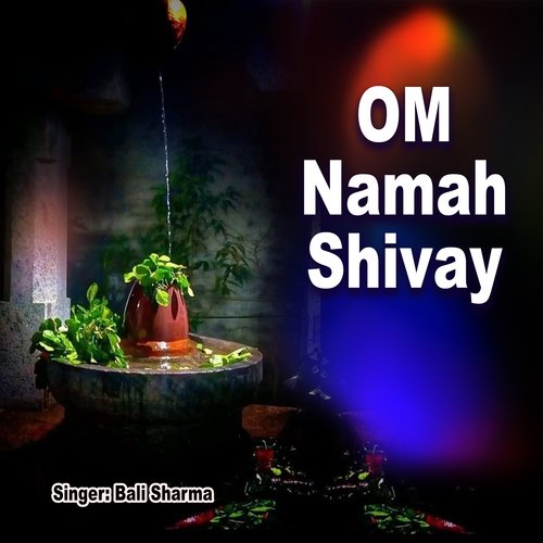 Om Namah Shivay