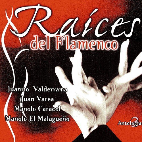 Raíces Del Flamenco (Antología 3)