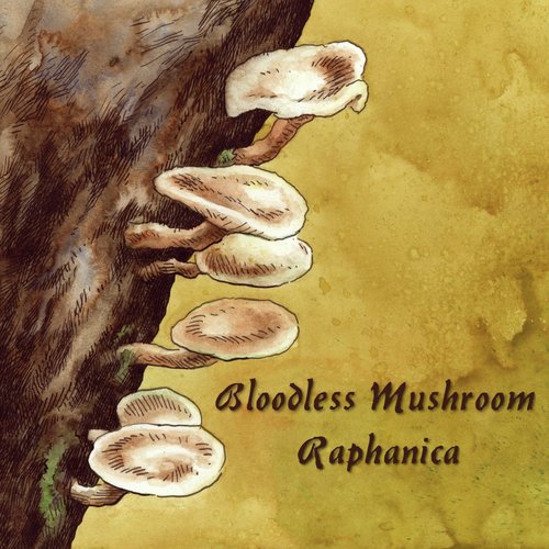 Borealis (Constrictus) cover art