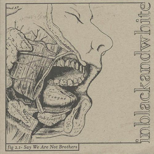 Say We Are Not Brothers cover art