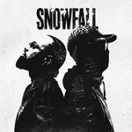 Snowfall