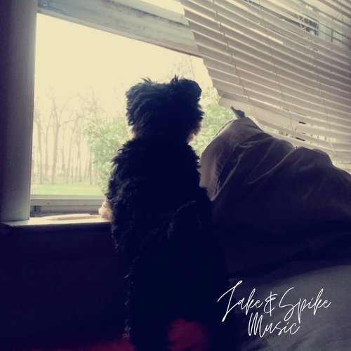 My Best Friend Spike cover art