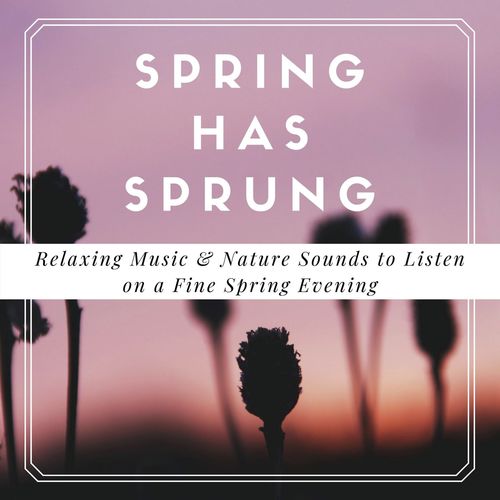 Relaxation cover art