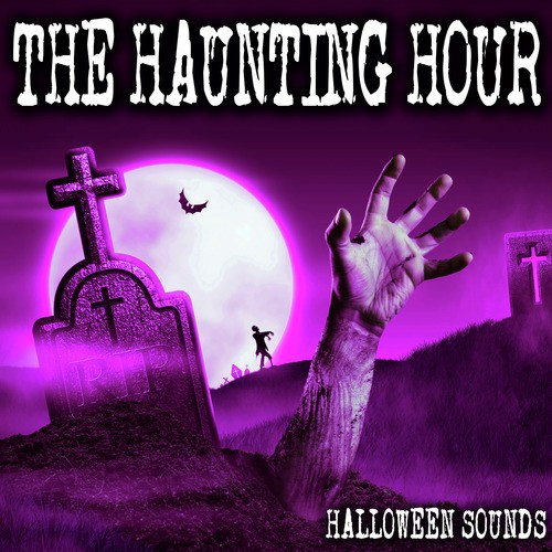 Beware the Haunted House cover art