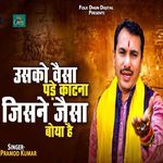 Usko Waisa Pade Kaatna Jisne Jaisa Boya Hai