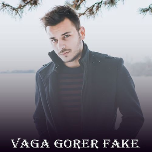 Vaga Gorer Fake