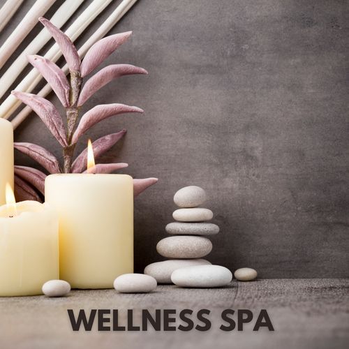 Wellness Spa_poster_image