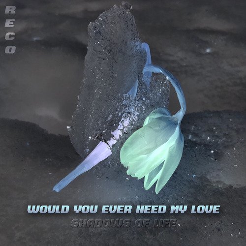 Would You Ever Need My Love_poster_image