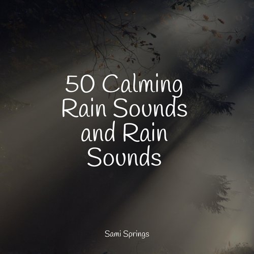 50 Calming Rain Sounds and Rain Sounds_poster_image