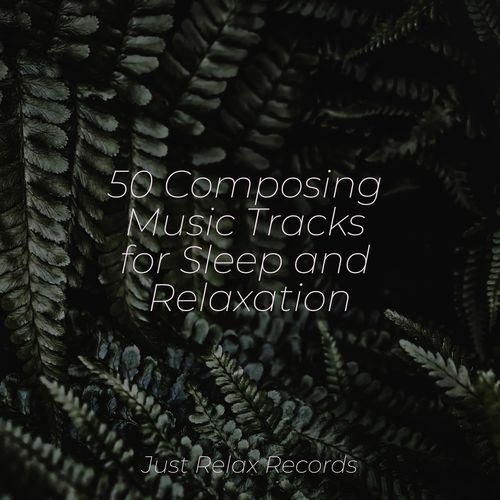 50 Composing Music Tracks for Sleep and Relaxation