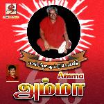 Mayil thogai