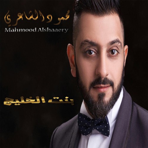 Mahmood Alshaaery