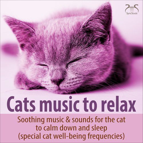 Cat Music to Relax - Soothing Music & Sounds for the Cat to Calm Down and Sleep (Special Cat Feel-Good Frequencies)_poster_image