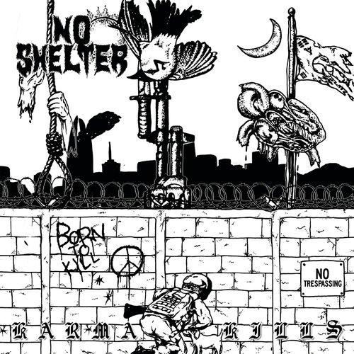No Shelter cover art