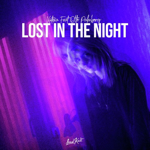 Lost in the Night_poster_image