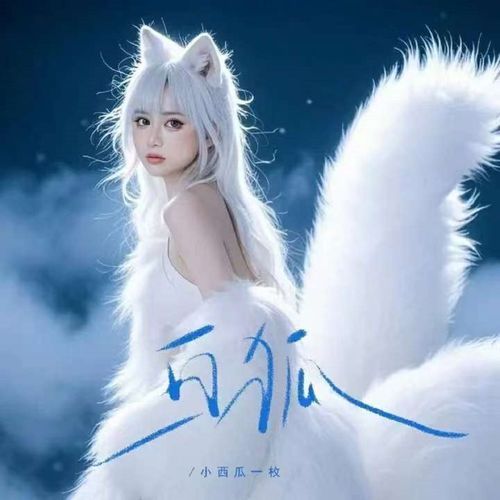 白狐(女生版) - JioSaavn - Listen to New & Old Indian & English